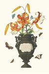 Lilium Tigrinum