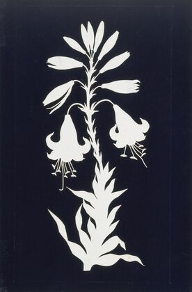 Lilly