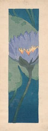 Lily (1898)