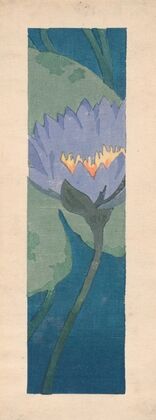 Lily (1898)