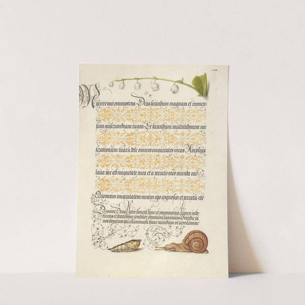 Lily-of-the-Valley, Pupa, and Land Snail (1561–1596) by Joris Hoefnagel