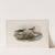 Limicola pygmæa. Broad-billed Sandpiper. (1862-1873) by John Gould