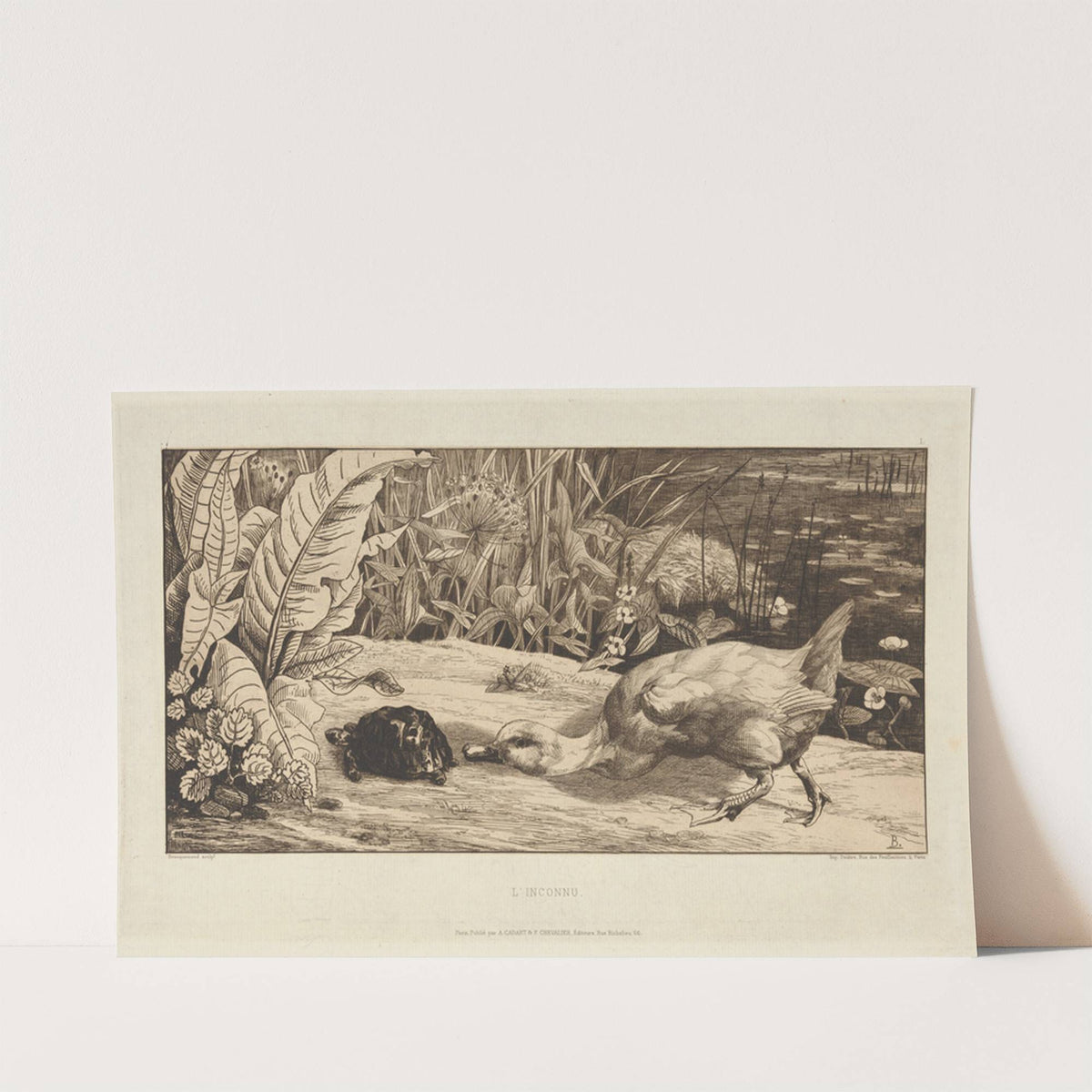 L’Inconnu (The unknown) by Félix Bracquemond