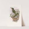 Lindsay&#039;s Kingfisher by John Gould