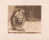 Lion (1894)