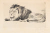 Lion (1915-1921)