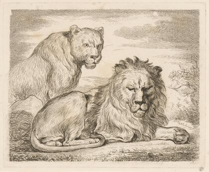 Lion and lioness (1793)