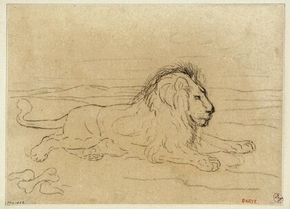 Lion couché (19th century)