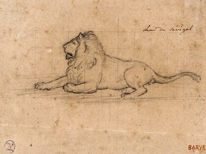 Lion du Sénégal (19th century)