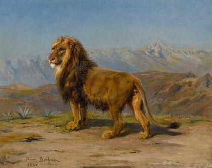 Lion in a mountainous landscape
