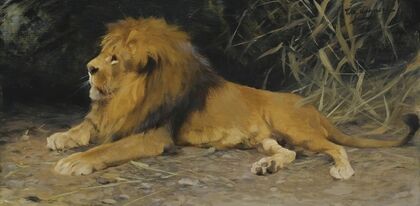 Lion In His Den