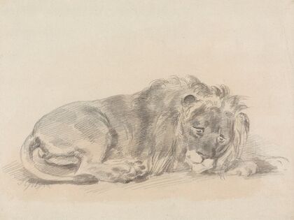 Lion Lying Down.