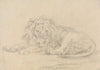 Lion Lying Down