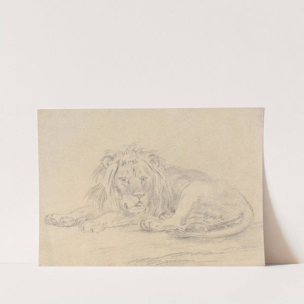 Lion Lying Down by Sawrey Gilpin