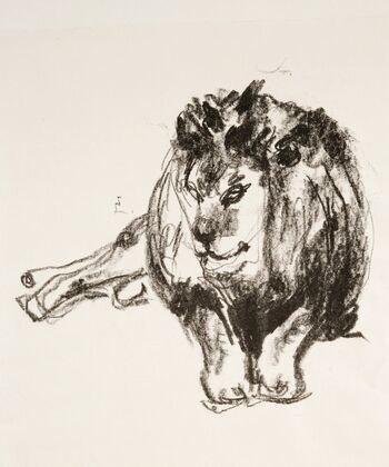 Lion Lying Down (1915)