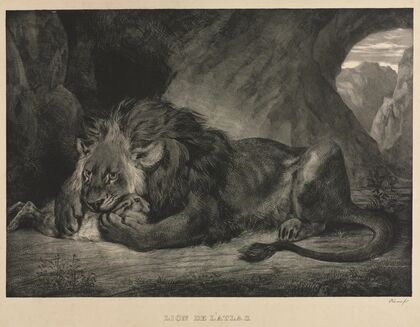 Lion of the Atlas Mountains (1829)