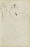 Lion studies