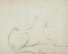 Lioness