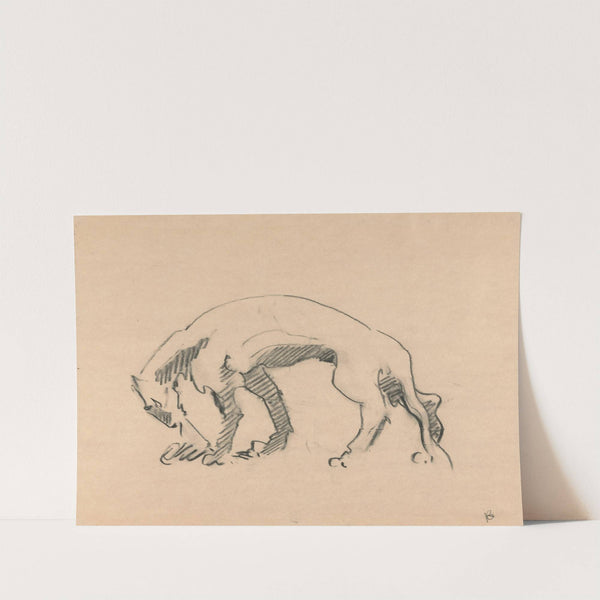 Lioness in Profile by Henri Gaudier-Brzeska