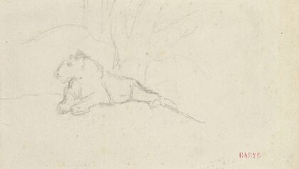 Lioness Lying near a Tree