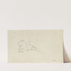 Lioness Lying near a Tree by Antoine-Louis Barye