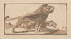 Lions (1915)
