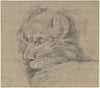 Lion’s head