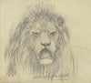 Lion’s head