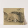 Lion’s Head and Sketch of a Lion by Edmé Saint-Marcel