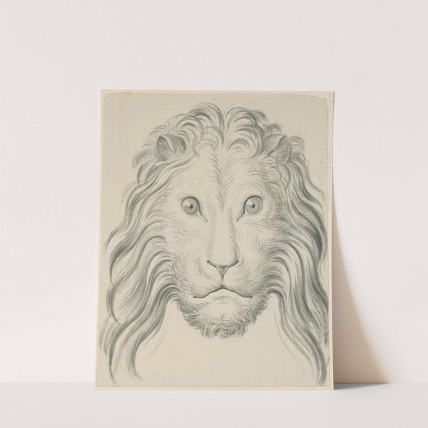 Lion’s head by David Humbert de Superville