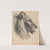 Lion&#8217;s head, in profile by Emile Lassalle