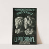Lipocrinyl (1910-1950) by Laboratoires Derol