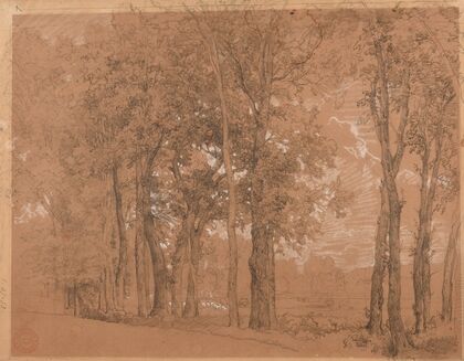 LisiÃ¨re d’arbres et prÃ©