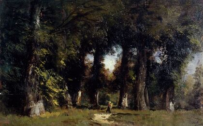 Lisière de forêt