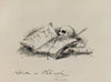 Littérature et philosophie (1882-1883)