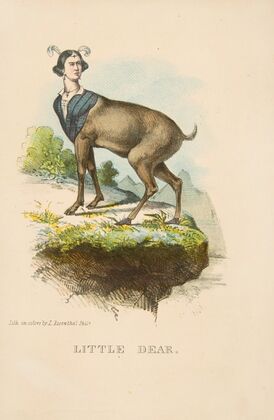 Little Dear (1851)
