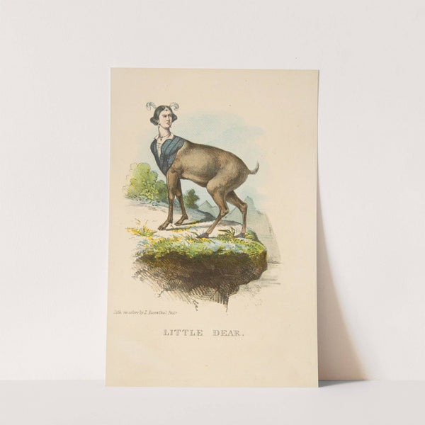 Little Dear (1851) by Henry Louis Stephens