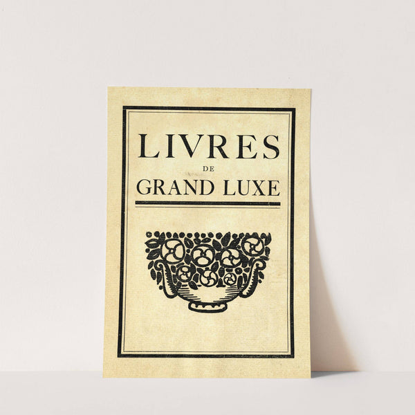 Livres de grand luxe