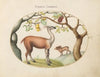 Llama and Moose (1575-1590)