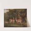 Llamas and a fox in a wooded landscape by Thomas Weaver