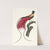 L&#039;Oiseau de Paradis rouge. by Jacques Barraband