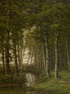 Loneliness. Landscape in the Surroundings of Schilde