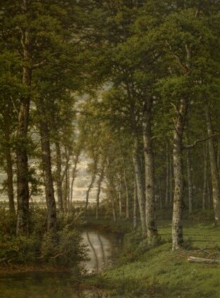 Loneliness. Landscape in the Surroundings of Schilde
