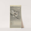 Long-eared owl in ginkgo by Ohara Koson