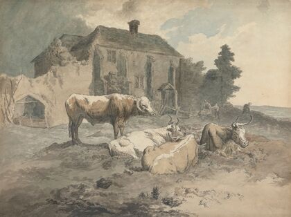 Long-Horned Cattle