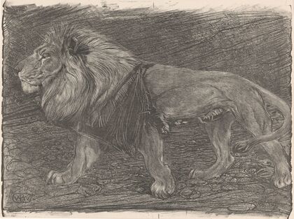Lopende leeuw (1905)