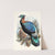 Lophophorus Lhuysii. by Joseph Smit