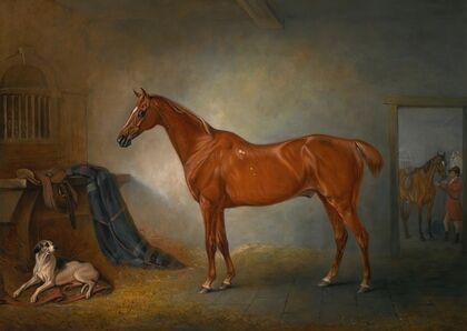 Lord Henry Bentinck’s Chestnut HunterÂ Firebird AndÂ Policy,Â A Foxhound, In A Loose Box