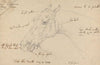 Lord Wennan’s Mare Flora