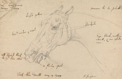 Lord Wennan’s Mare Flora